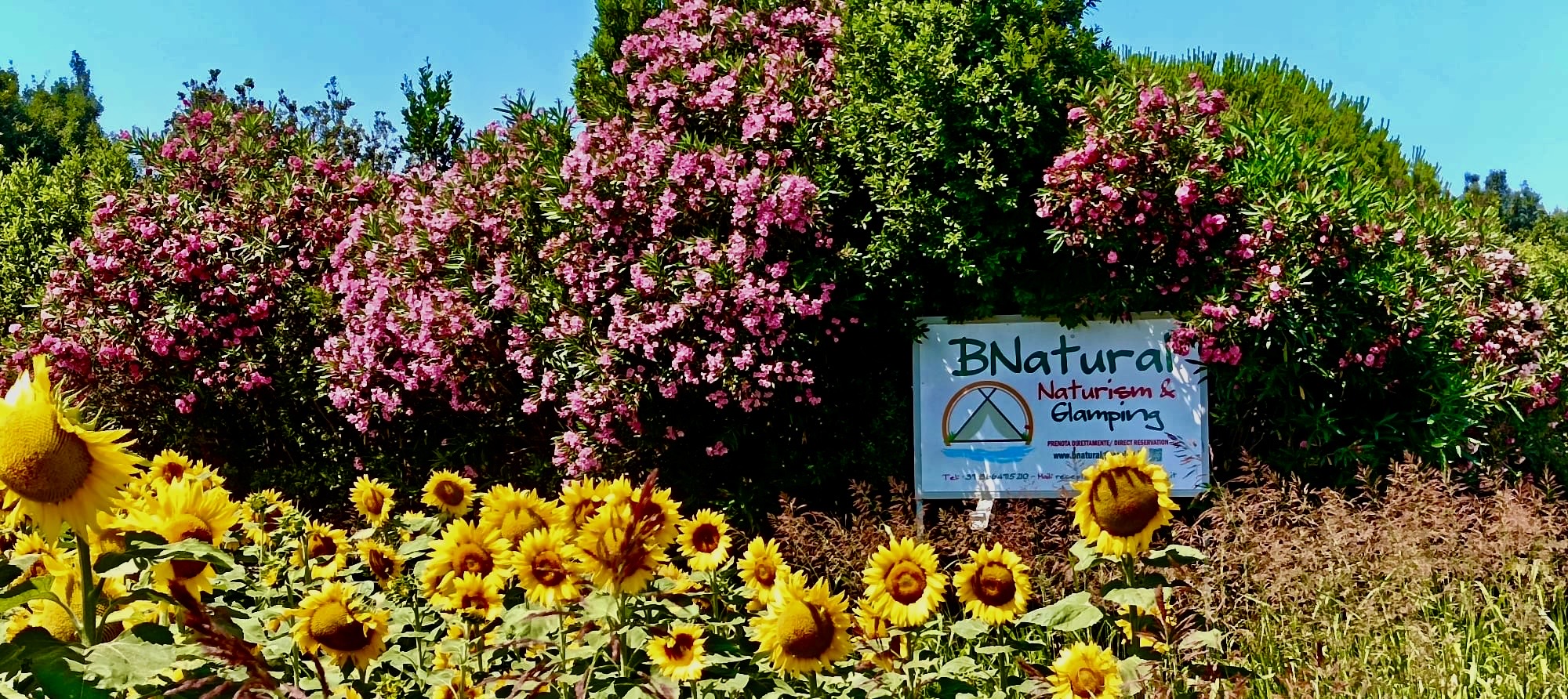 BNatural Naturism&Glamping — photo 2
