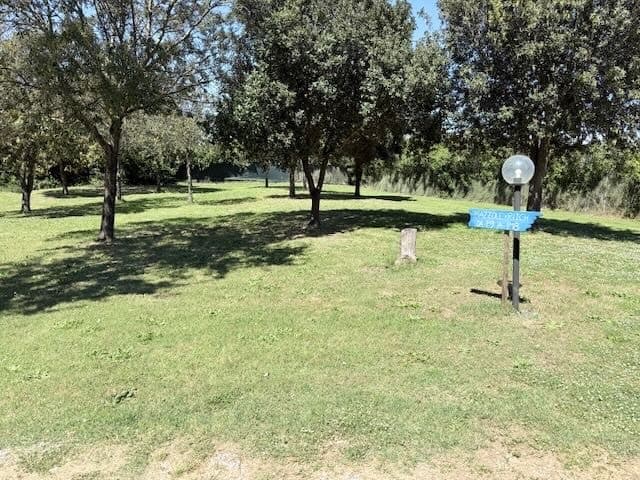 Piazzola van/tenda ombreggiata nel verde