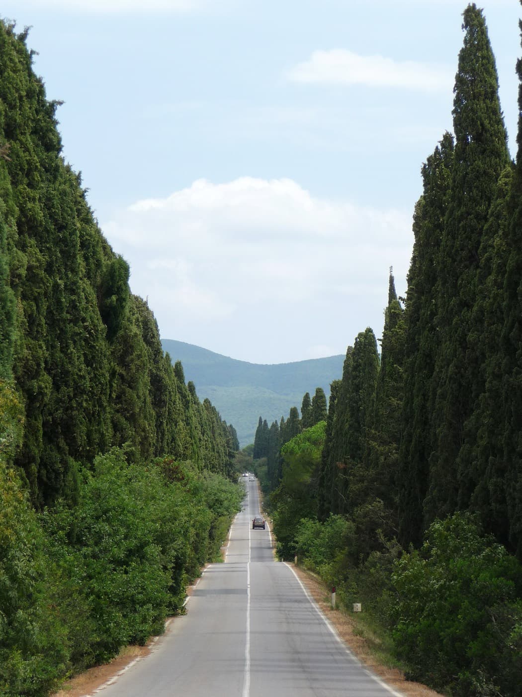 Bolgheri & Weinküste