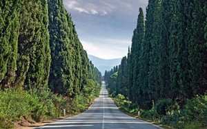 Borghi da visitare nei pressi del'agricampeggio naturista: Bolgheri