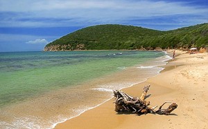 Spiaggia di Calaviolina a pochi km dall'agricampeggio naturista Bnatural naturism & Glamping